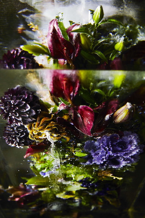 Ice Flowers: инсталляция от Макото Азума (Makoto Azuma)