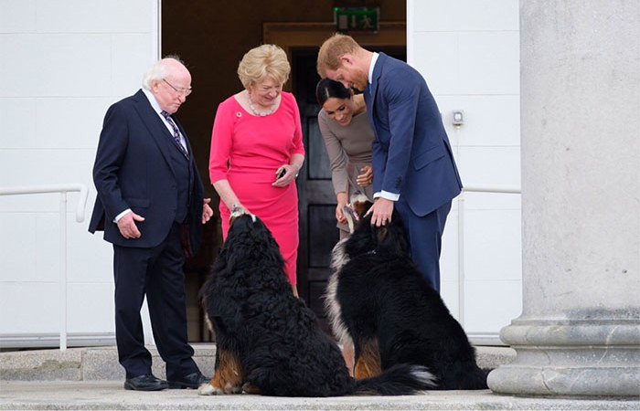 Встреча президента Ирландии с принцем Гарри и Меган Маркл.