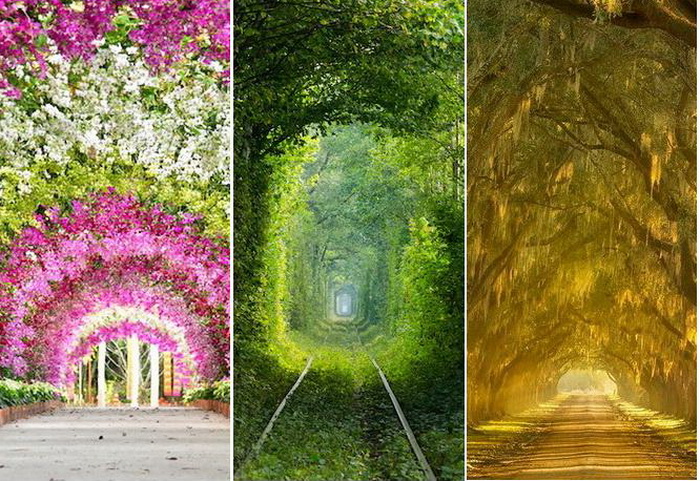 Природные тоннели. Самые очаровательные места на планете.