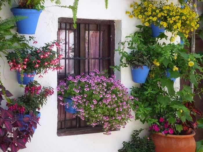 Цветочные композиции на окнах домов