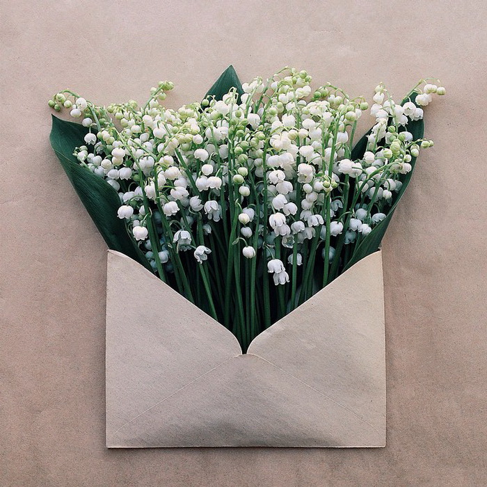 Нежные цветочные послания на фотографиях Анны Ремарчук