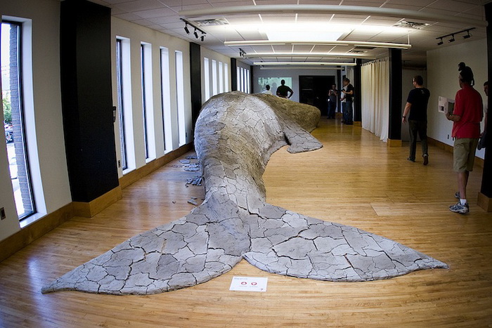 Серый кит - скульптура от Shay Church