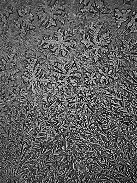 Слезы под микроскопом: фотопроект от Розы-Линн Фишер (Rose-Lynn Fisher)