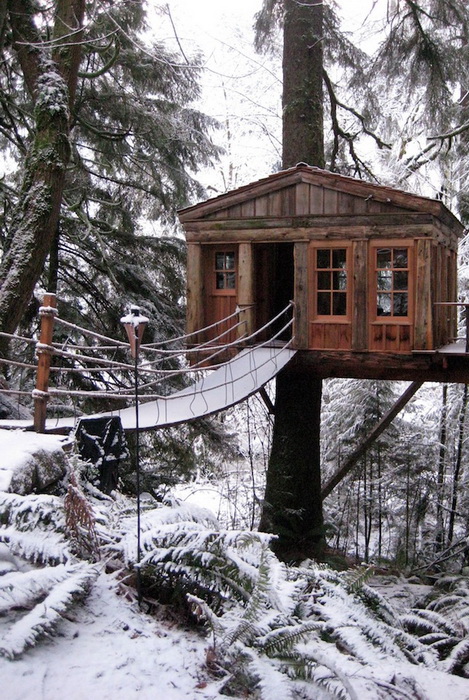 Отель на дереве (Сиэтл, США)