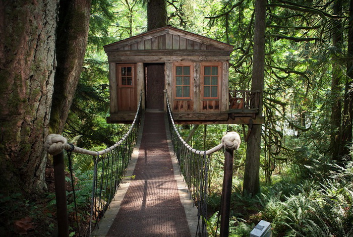 Отель на дереве (Сиэтл, США)