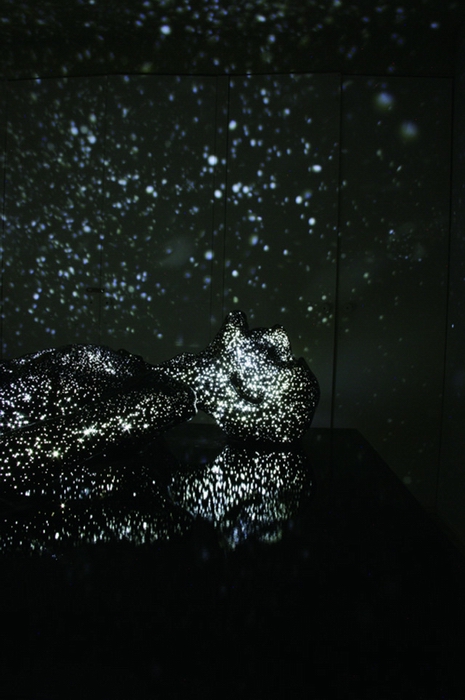 Мрачная инсталляция от Mihoko Ogaki