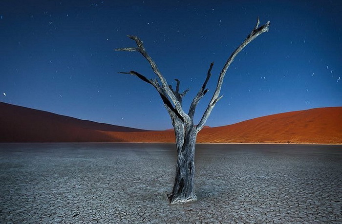 Мёртвая долина (Dead Vlei), Намибия
