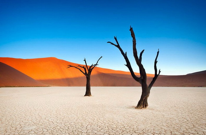 Мёртвая долина (Dead Vlei), Намибия
