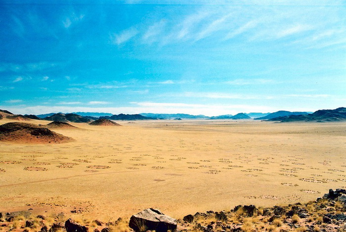 Загадочные пятна на полях Намибии
