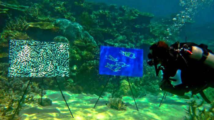 С помощью группы аквариумистов удалось особенно эффектно разместить работы художника, чтобы те органично дополнили картину подводного мира