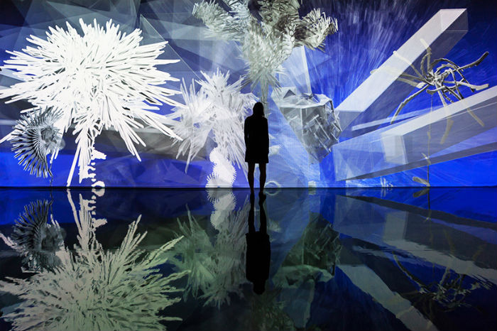 Fractal flowers («Фрактальные цветы») - пространственная композиция в Музее современного искусства  (Франция)