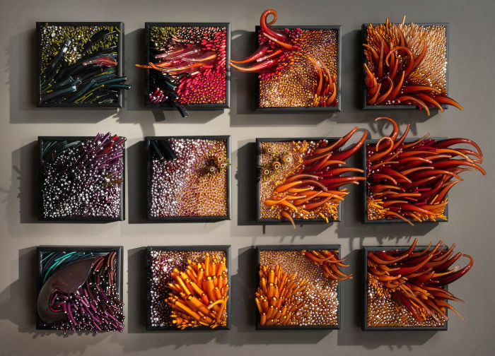 Удивительные скульптуры кораллов из стекла - искусные работы американской художницы