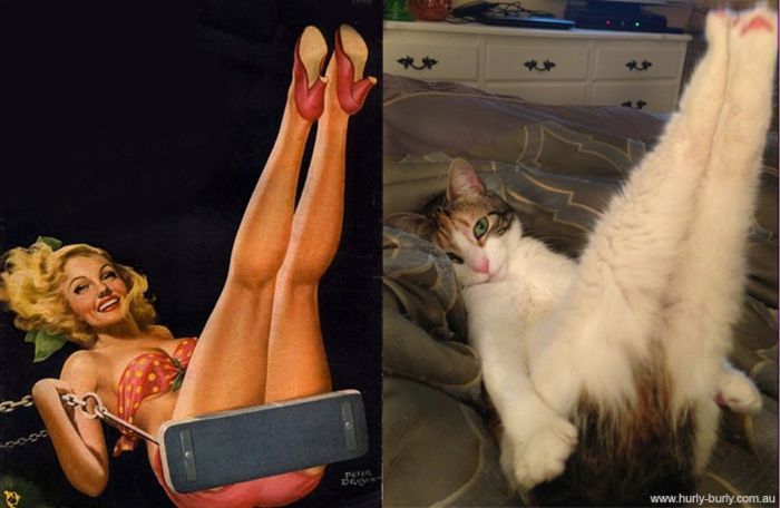 Кошки и девушки в стиле pin-up