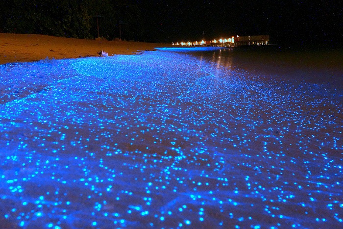 Светящийся биолюминесцентный фитопланктон на Мальдивах