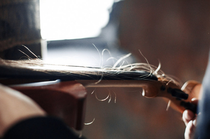 Волосы художника превратились в струны для скрипки