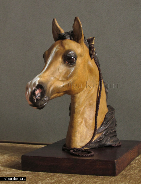 Портрет арабской лошади.