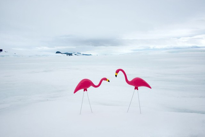 Фотографии Антарктиды от Грэя Малина (Gray Malin). 