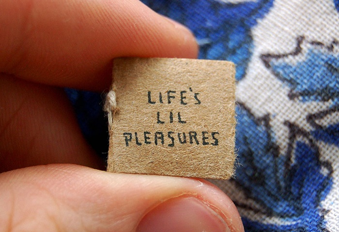 «Life’s Lil Pleasures» - книга, сделанная иллюстратором Evan Lorenzen.