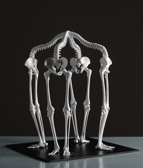 Скульптура из костей от чешского дизайнера.