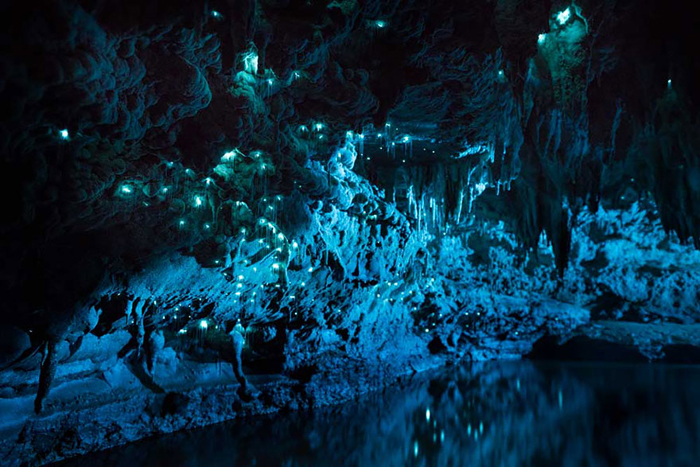 Темная пещера с колонией светящихся червячков.  Фото: Joseph Michael.