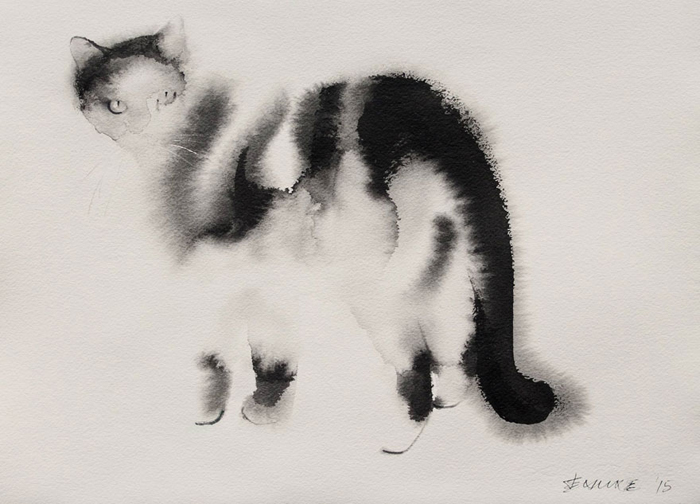 Черно-белая кошка.  Автор: Endre Penovac.