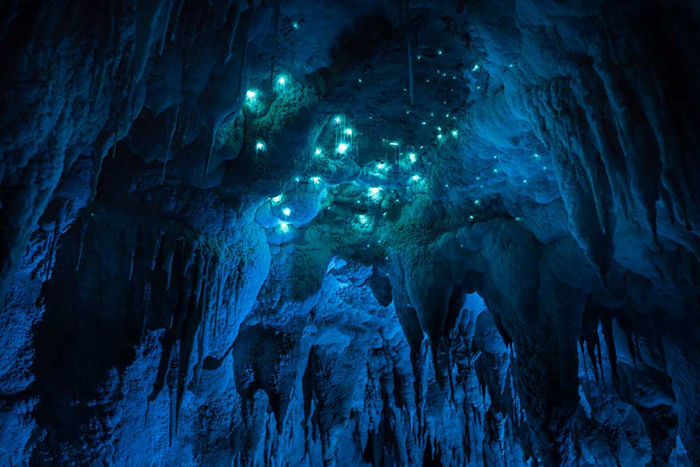 Сияющая пещера в Новой Зеландии.