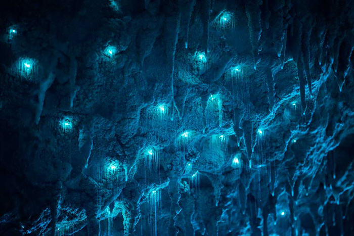Пещера в Новой Зеландии.  Фото: Joseph Michael.