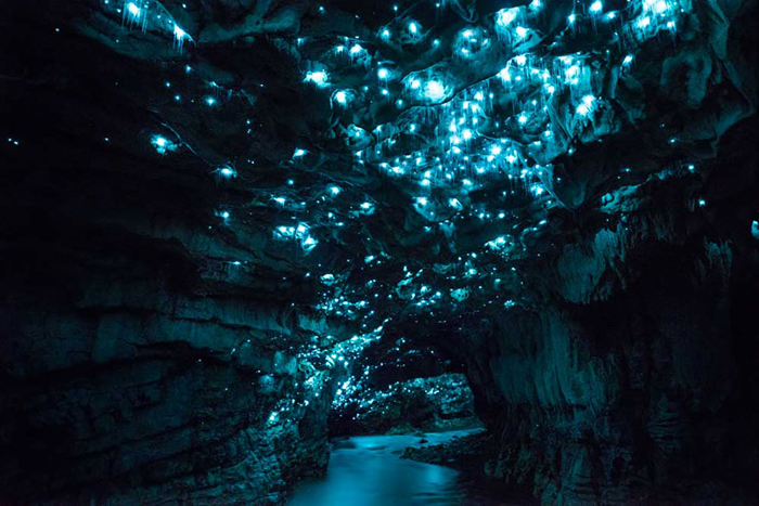 Темная пещера на севере Новой Зеландии.  Фото: Joseph Michael.