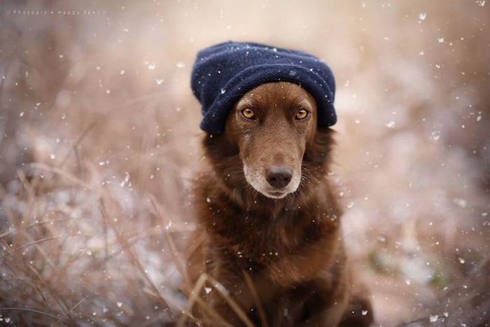 Зимой не холодно. Автор: Anne Geier.