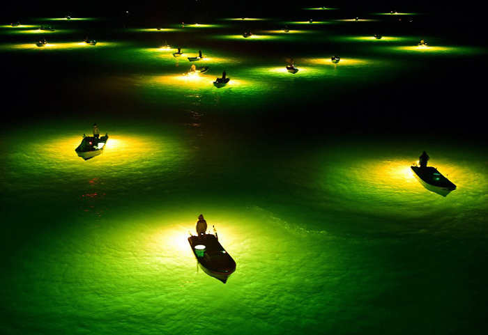 Ночные рыбаки. Автор фото: The Asahi Shimbun.