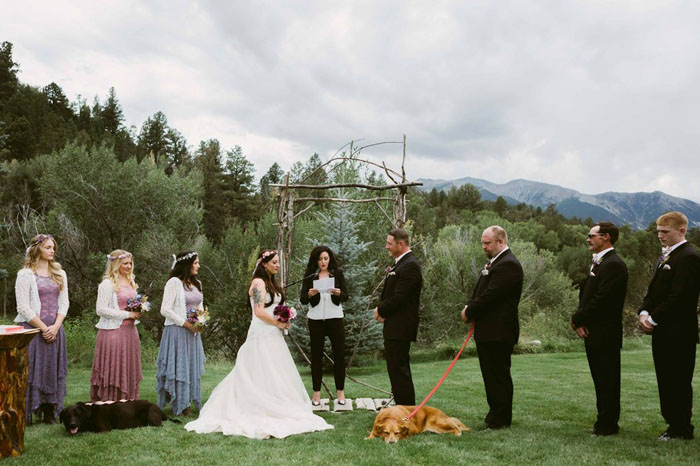 Чарли рядом с хозяйкой у алтаря в день ее свадьбы.  Фото: Jen DZ Photography.