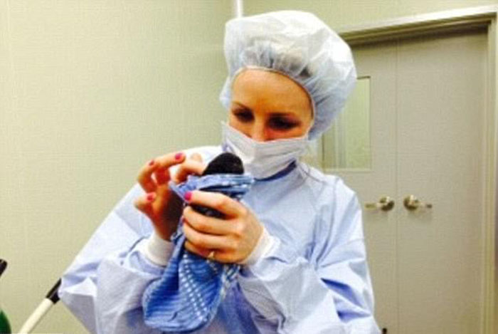 Ребекка держит новорожденную Минни-Винни. Тогда, в 2014 году, весь процесс рождения клона собаки был снят на видео сеульским телевидением. Ребекка держит новорожденную Минни-Винни. Тогда, в 2014 году, весь процесс рождения клона собаки был снят на видео сеульским телевидением.