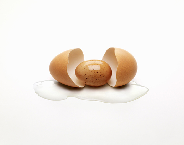Рождение яйца. Автор: Nancy Fouts.