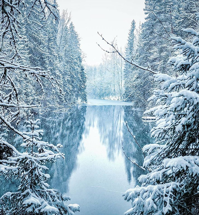 Зимний лес. Instagram soosseli.
