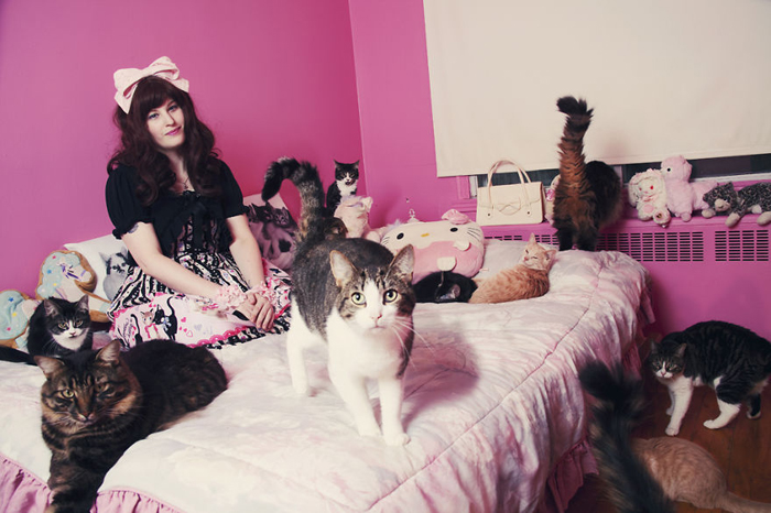 Сабрина и шесть котов.