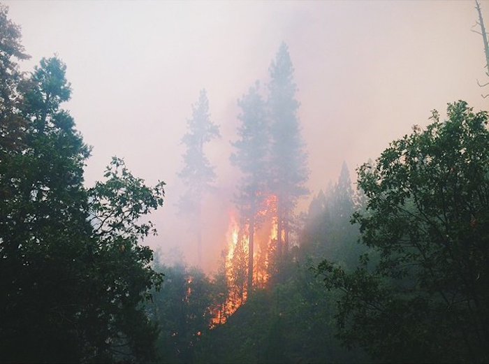 Пожар в национальном заповеднике Сьерра.