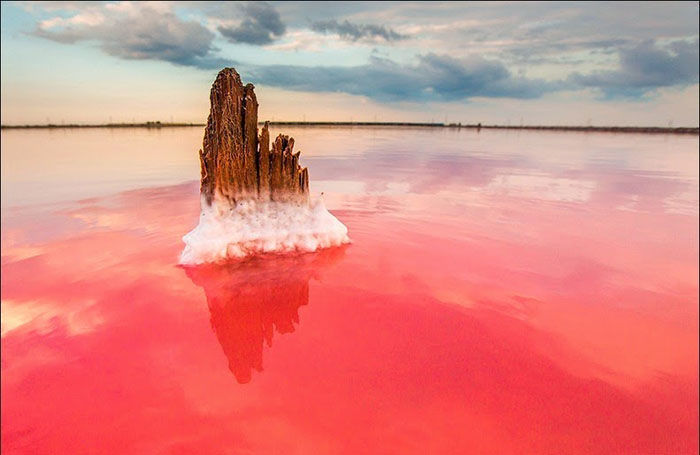 Здесь активно ведется добыча соли. Фото: Сергей Анашкевич.