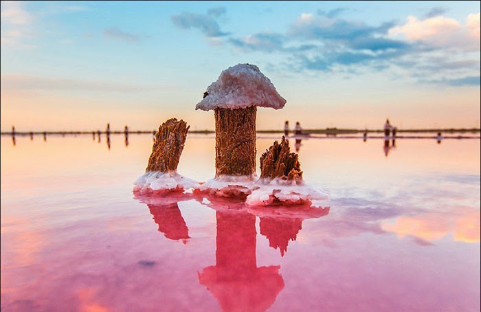 Летом количество воды в заливе увеличивается, и соответственно - количество соли. Фото: Сергей Анашкевич.