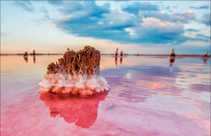 Розовое озеро Сиваш. Фото: Сергей Анашкевич.
