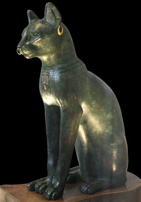 В Древнем Египте кошек считали священными животными.