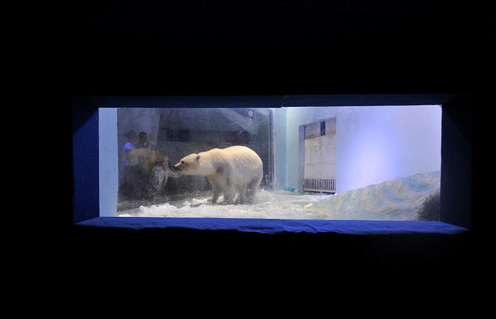 Медведь в зоопарке торгового центра.