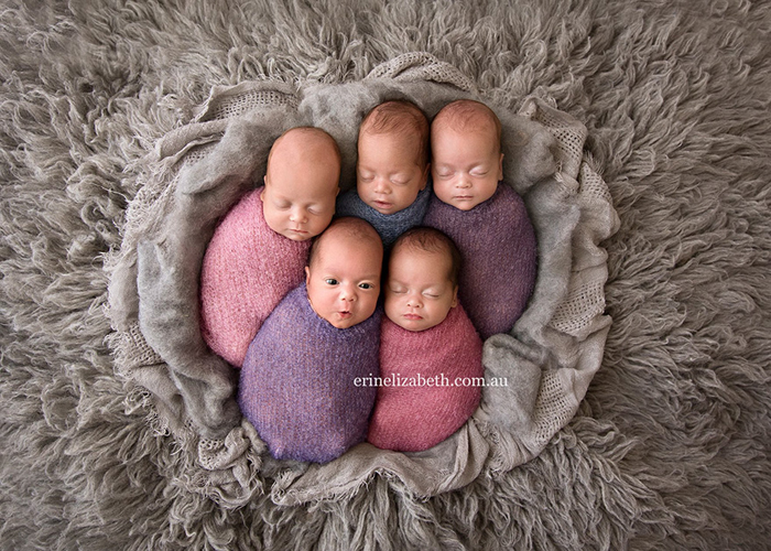 Пять малышей - четыре девочки и один мальчик.  Фото: Erin Elizabeth Photograpy.