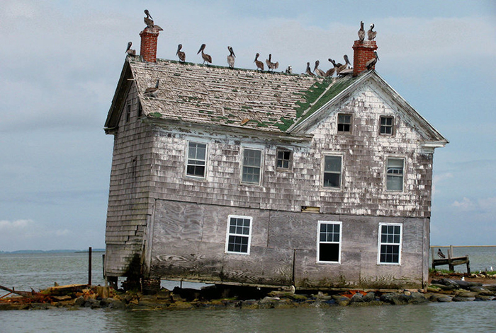 Последний дом на острове Холланд с пеликанами.