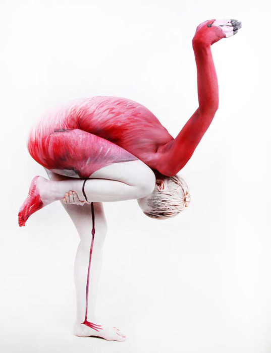 Розовый фламинго. Автор работы: Gesine Marwedel.