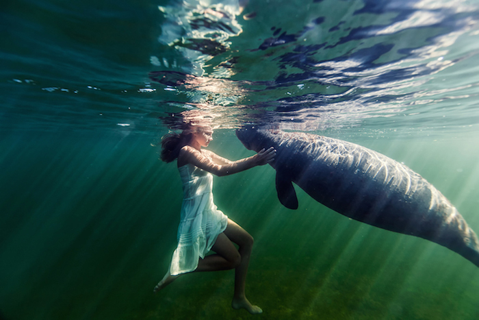 Невероятные подводные истории на фотографиях Елены Калис.