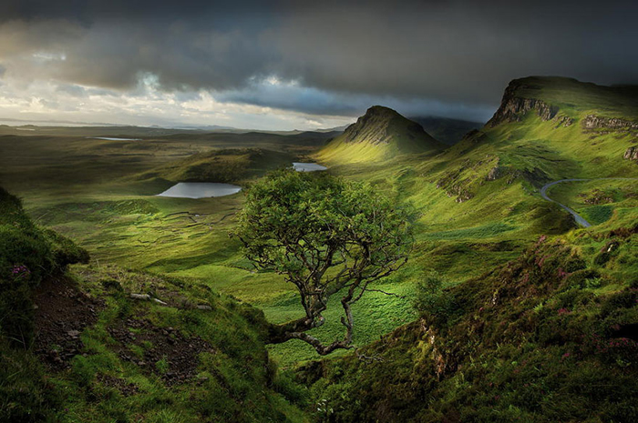 Изумрудные холмы Шотландии.