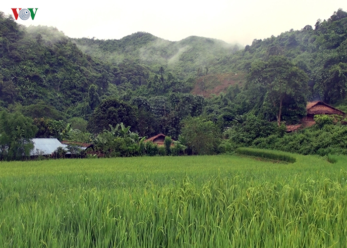 Вьетнамская деревня Дьен-Бьен.