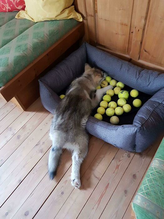 Он собрал все шары, которые нашёл в доме, а затем лёг так и лежал больше 10 минут.