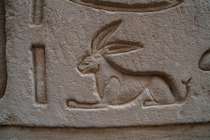 В древнеегипетских верованиях божества подземного мира иногда принимали форму зайца. / Фото: atlasobscura.com