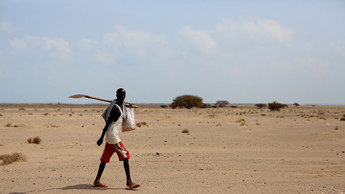Как сегодня живут люди в стране, история которой похожа на притчу о библейских казнях: непризнанный Сомалиленд 